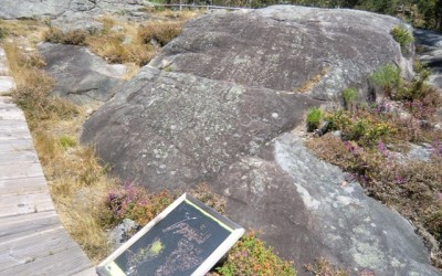 Petroglyphs of Monte Tetón