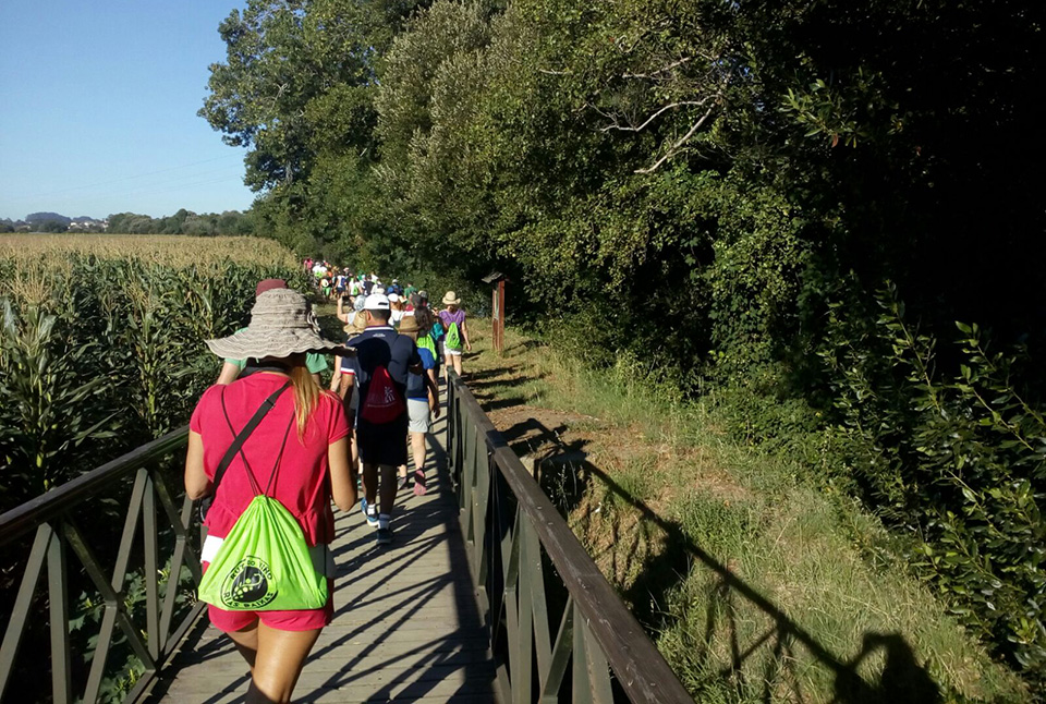 Más de cincuenta personas participaron en la jornada de senderismo organizada por la Ruta do Viño Rías Baixas