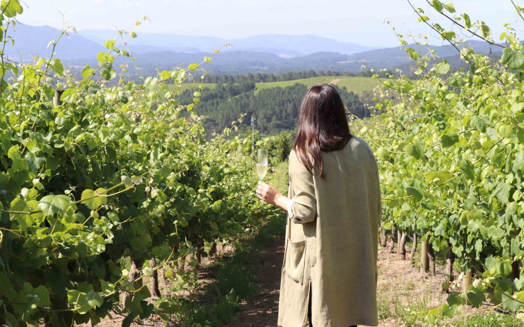 Catorce socios de la Asociación Ruta do Viño Rías Baixas participan en el workshop online de ‘Enoturismo Galicia’
