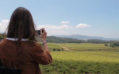 La Ruta do Viño Rías Baixas, premio FIJET España 2022 en la categoría Mejor Ruta del Vino