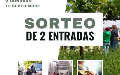 Bases Legales del Sorteo “Ruta de Vendimia 2025”