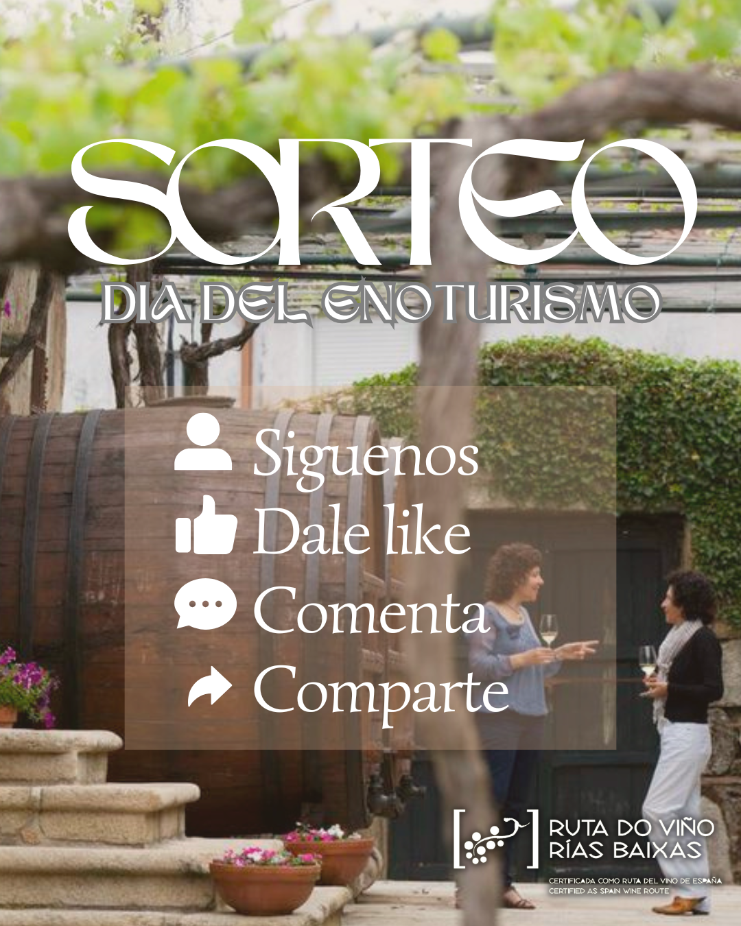 Bases Legales del Sorteo “Día del Enoturismo 2025”